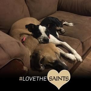 Meet your Posher, Dani